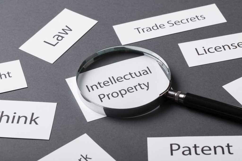 Intellectual property protection